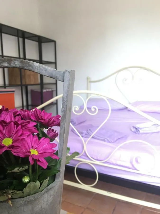 Guest house Pietrasanta Hotel