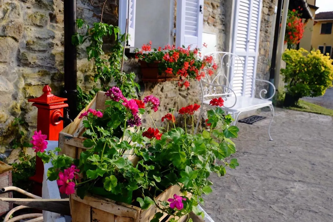 Guest house Pietrasanta Hotel